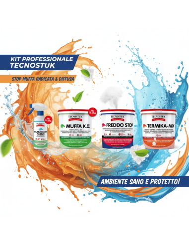 KIT Professionale Antimuffa Tecnostuk Per Muffa Molto Radicata Ed Estesa