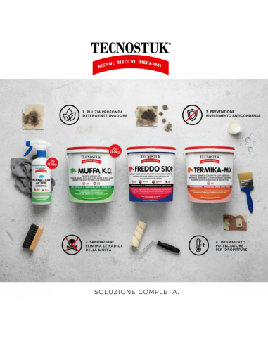 KIT Professionale Antimuffa Tecnostuk Per Muffa Molto Radicata Ed Estesa