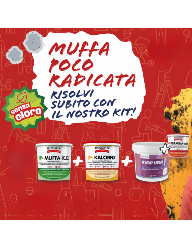 KIT Per Muffa Poco Radicata Tecnostuk Con Pittura Cromika Bianca 2,5 L