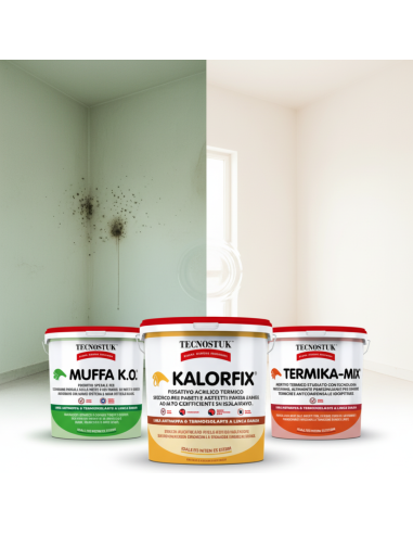 KIT Per Muffa Poco Radicata Tecnostuk Con Pittura Cromika Bianca 2,5 L