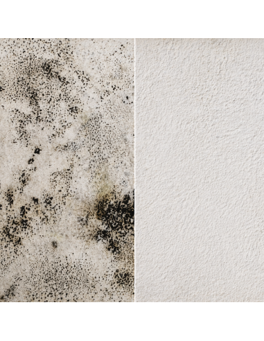 KIT Per Muffa Poco Radicata Tecnostuk Con Pittura Cromika Bianca 2,5 L