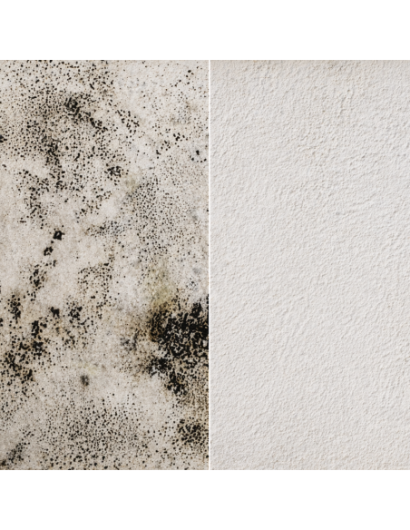 KIT Per Muffa Poco Radicata Tecnostuk Con Pittura Cromika Bianca 2,5 L