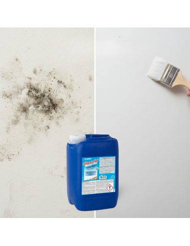 Mapei SILANCOLOR CLEANER PLUS Trattamento Antimuffa Per Superfici 5 Kg