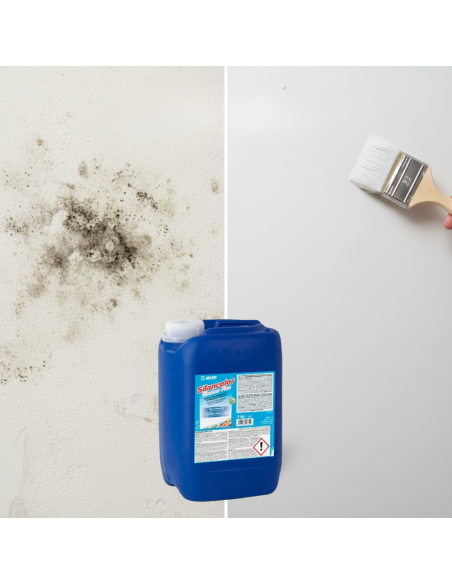 Mapei SILANCOLOR CLEANER PLUS Trattamento Antimuffa Per Superfici 5 Kg