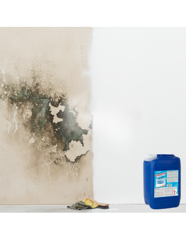 Mapei SILANCOLOR CLEANER PLUS Trattamento Antimuffa Per Superfici 5 Kg