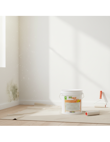 Kerakoll Biocalce Tinteggio Per Decorazione Intonaci Civili 4 Litri