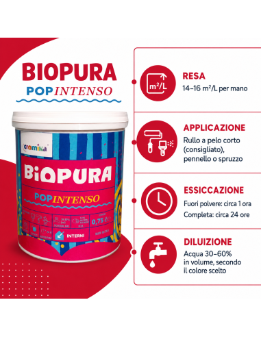 PopIntenso Palestra E Decori Interni Pittura Murale Lavabile E Coprente Cromika