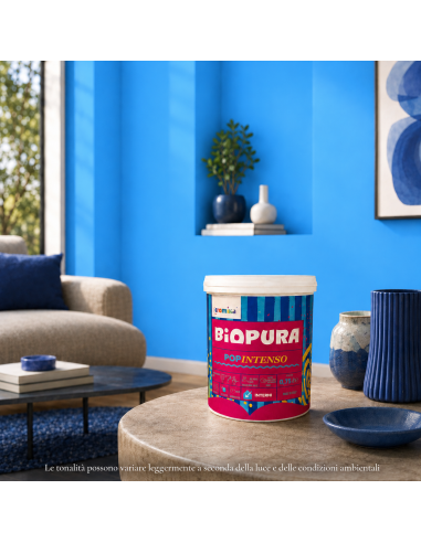 PopIntenso Palestra E Decori Interni Pittura Murale Lavabile E Coprente Cromika