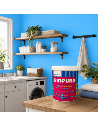 PopIntenso Palestra E Decori Interni Pittura Murale Lavabile E Coprente Cromika
