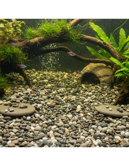 Ciottoli Di Fiume Naturali Per Acquari D’Acqua Dolce 25 kg FORTUNATO - foto 8