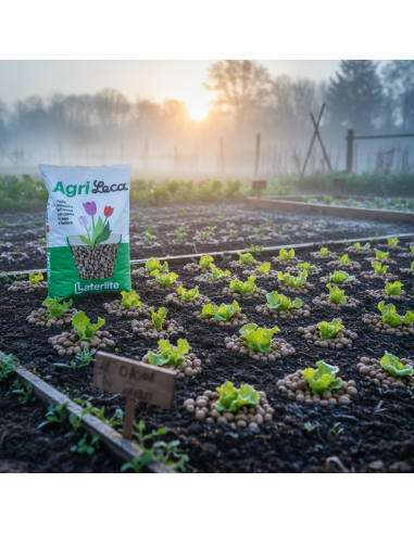 Argilla Espansa Agrileca Per Giardini Pensili E Ortoflorovivaismo 50 L LECA - foto 3