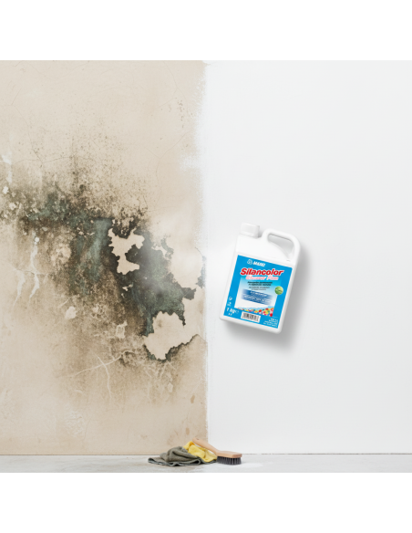SILANCOLOR CLEANER PLUS Trattamento Antimuffa Per Superfici 1 Kg Mapei - foto 2