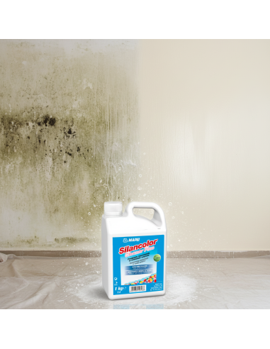SILANCOLOR CLEANER PLUS Trattamento Antimuffa Per Superfici 1 Kg Mapei - foto 3