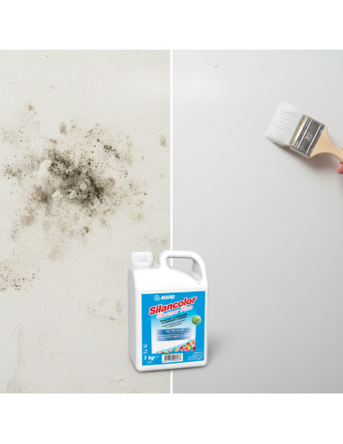 SILANCOLOR CLEANER PLUS Trattamento Antimuffa Per Superfici 1 Kg Mapei - foto 4