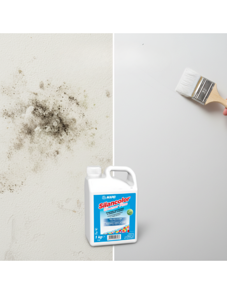 SILANCOLOR CLEANER PLUS Trattamento Antimuffa Per Superfici 1 Kg Mapei - foto 4