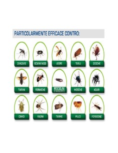 EvoKiller Insetticida Antiparassitario Insetti Parassiti 2 Litri 2