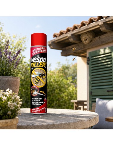 Prochimica VESPAKILLER Schiumogeno Insetticida Per Vespe E Calabroni Uso Domestico E Civile 750 ml