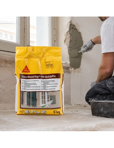 SIKA Monotop 110 Quickfix Malta Pronta Grigia A Presa Rapida 5 Kg