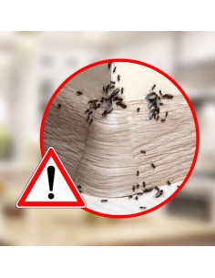 Microgranuli Formiche Insetti Barriera Protettiva Interni Esterni 250 gr Ekostop 2