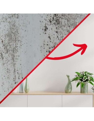 Detergente Sbiancante Macchie Intonaci Mattoni Rinnova Pareti Flaconi 5 litri