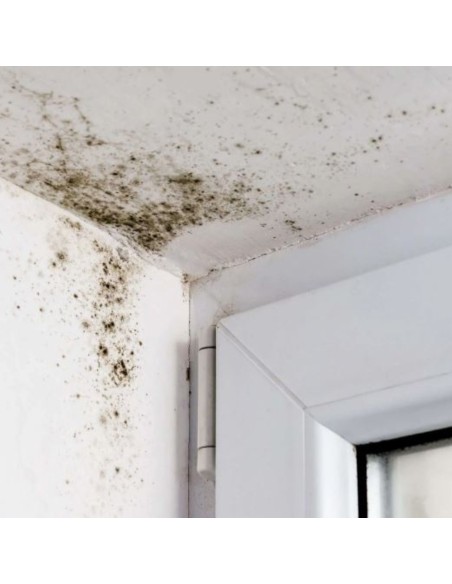 Detergente Sbiancante Macchie Intonaci Mattoni Rinnova Pareti Flaconi 5 litri