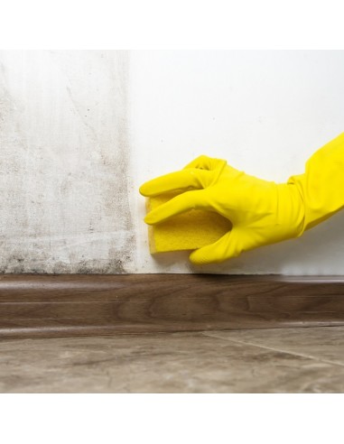 Detergente Sbiancante Macchie Intonaci Mattoni Rinnova Pareti Flaconi 5 litri