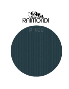 Disco Rete Abrasivo Bifaccia Diametro 450 mm 100 gr  Carburo Silicio  2