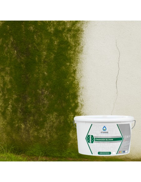 Pittura Murale Fassaden Siloxan Quarzo Acril Silossanico Idrorepellente