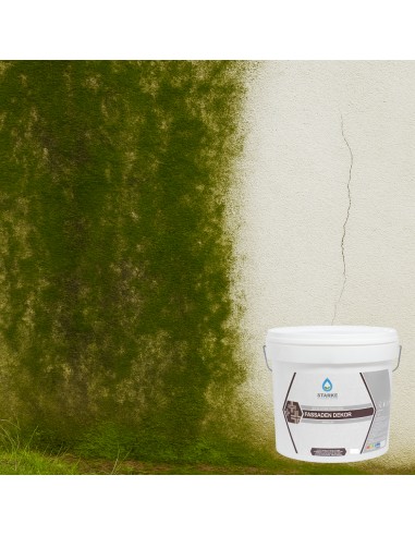 Quarzo Fine Fassaden Dekor Acrilico Coprente Idrorepellente Antialga Antimuffa