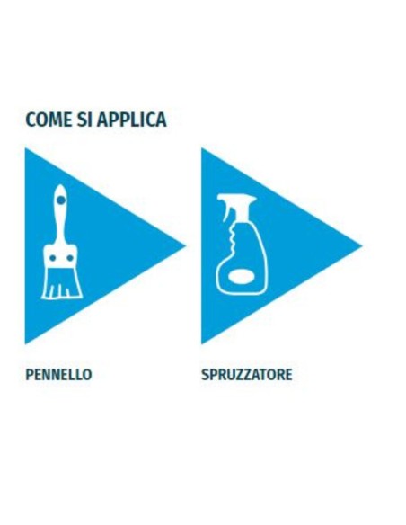Consolidante a base di silicato di etile a solvente per restauro Silietile 1 lt
