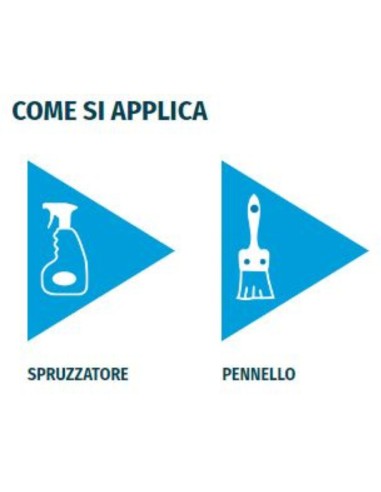 Detergente Azione Igienizzante Pietre Intonaci Macchie Aloni BIO C 10 litri