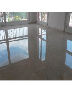 Detergente Manutentore Lucidante Neutro Pavimenti Lucidi  Finiture Pav Lux 1 lt 2