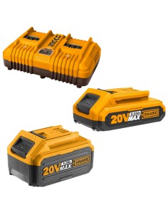 Kit Pack Pro Caricabatterie Doppio Rapido 4Ah + 2 Batterie 20V  5 Ah 2 Ah 
