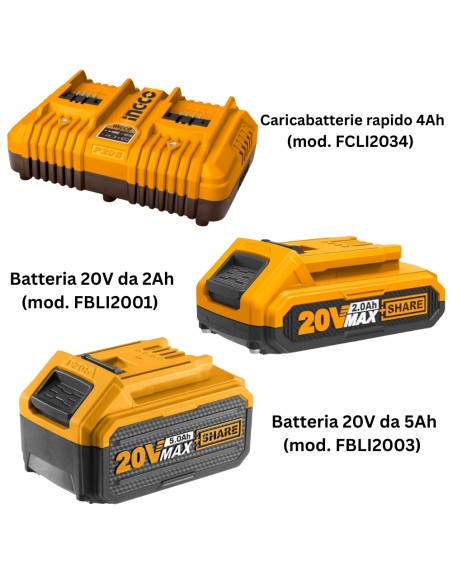 Kit Pack Pro Caricabatterie Doppio Rapido 4Ah + 2 Batterie 20V  5 Ah 2 Ah 