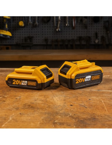 Kit Pack Pro Caricabatterie Doppio Rapido 4Ah + 2 Batterie 20V  5 Ah 2 Ah 