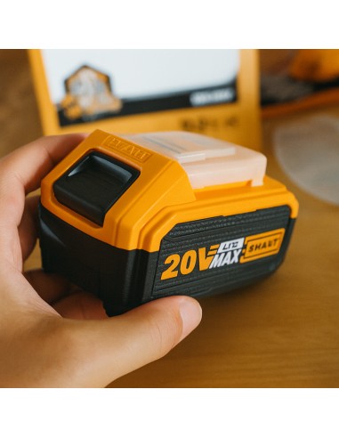 Kit Pack Pro Caricabatterie Doppio Rapido 4Ah + 2 Batterie 20V  5 Ah 2 Ah 