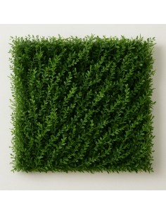 Pannello Decorativo Siepe Artificiale Interni Esterni 50 x 50 x h3 cm Felce   2