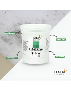 Bioattiva Bonificante Igienizzante Per Risanamento Pareti Da Muffa Alghe Muschi 2