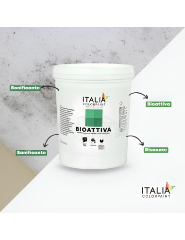 Bioattiva Bonificante Igienizzante Per Risanamento Pareti Da Muffa Alghe Muschi
