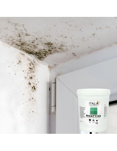 Bioattiva Bonificante Igienizzante Per Risanamento Pareti Da Muffa Alghe Muschi