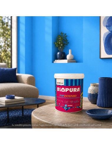 PopIntenso Palestra E Decori Interni Pittura Murale Lavabile E Coprente Cromika