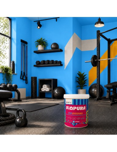 PopIntenso Palestra E Decori Interni Pittura Murale Lavabile E Coprente Cromika