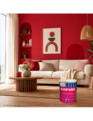 PopIntenso Palestra E Decori Interni Pittura Murale Lavabile E Coprente Cromika