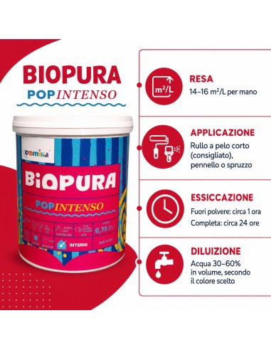 PopIntenso Palestra E Decori Interni Pittura Murale Lavabile E Coprente Cromika