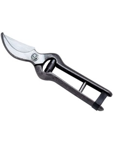 AUSONIA Forbice da Vigna Professionale 25 cm in Acciaio Forgiato e Temprato