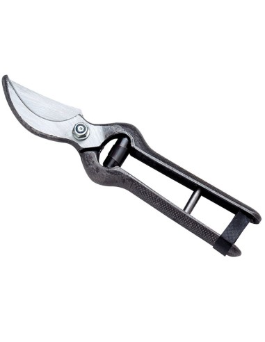 AUSONIA Forbice da Vigna Professionale 25 cm in Acciaio Forgiato e Temprato