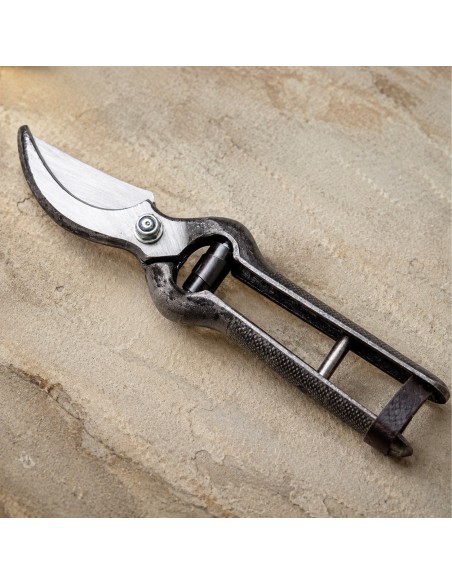 AUSONIA Forbice da Vigna Professionale 25 cm in Acciaio Forgiato e Temprato