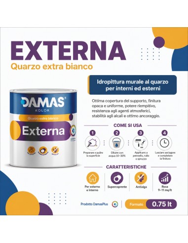 Damas Idropittura Al Quarzo Bianca Per Esterni Externa
