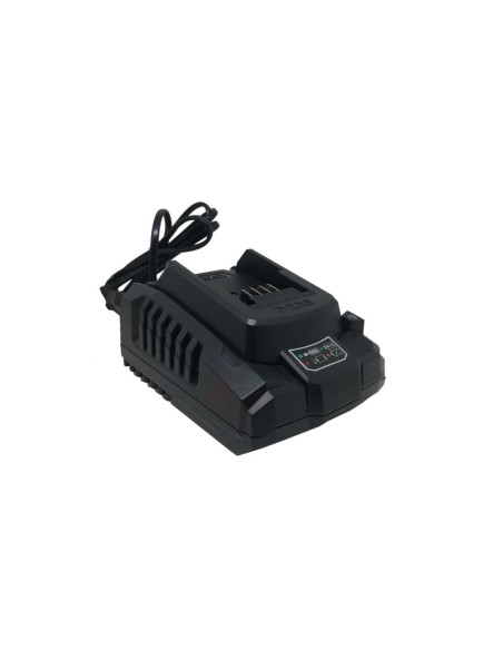 Caricabatterie Portatile 20V 110V-240V Ricarica Rapida Sicura Elettroutensili