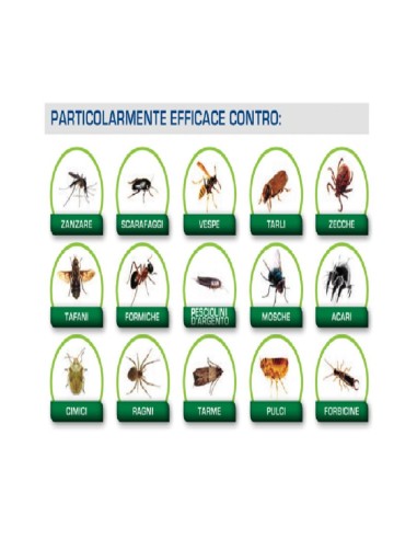 EvoKiller Insetticida Antiparassitario Insetti Parassiti 2 Litri